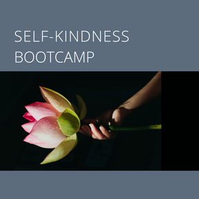 Self-compassion online course